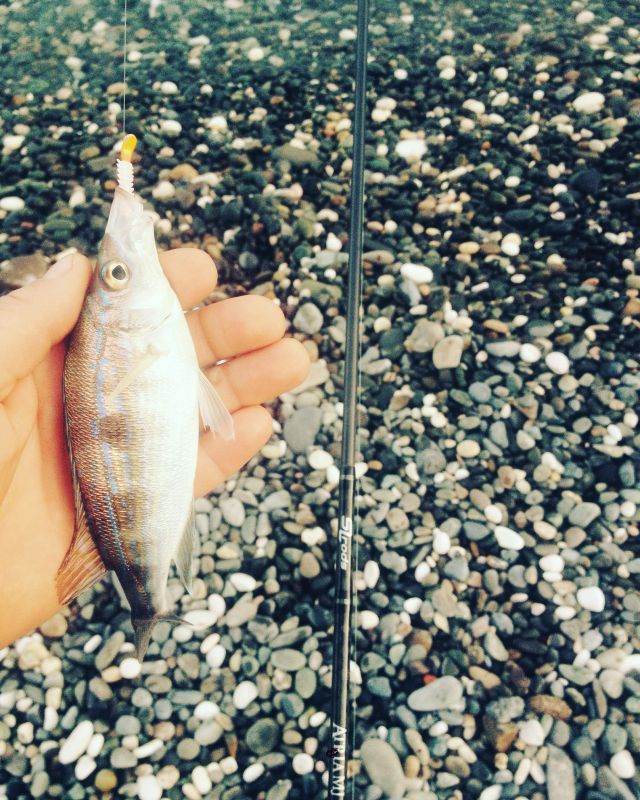 http://apsnyfishing.ru/uploads/images/2017/04/12/image.jpeg