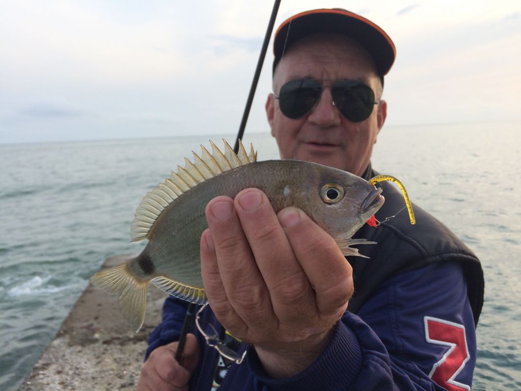 http://apsnyfishing.ru/uploads/images/2017/05/03/img_2437.jpg