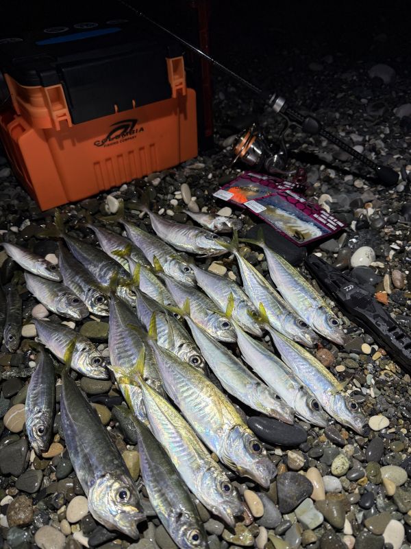 http://apsnyfishing.ru/uploads/images/2025/04/15/img_4400.jpeg
