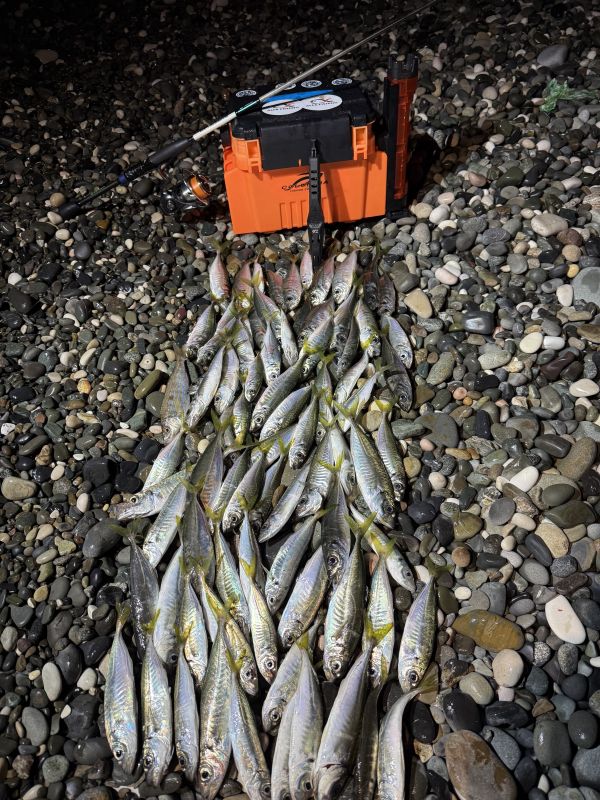 http://apsnyfishing.ru/uploads/images/2025/04/15/img_4445.jpeg